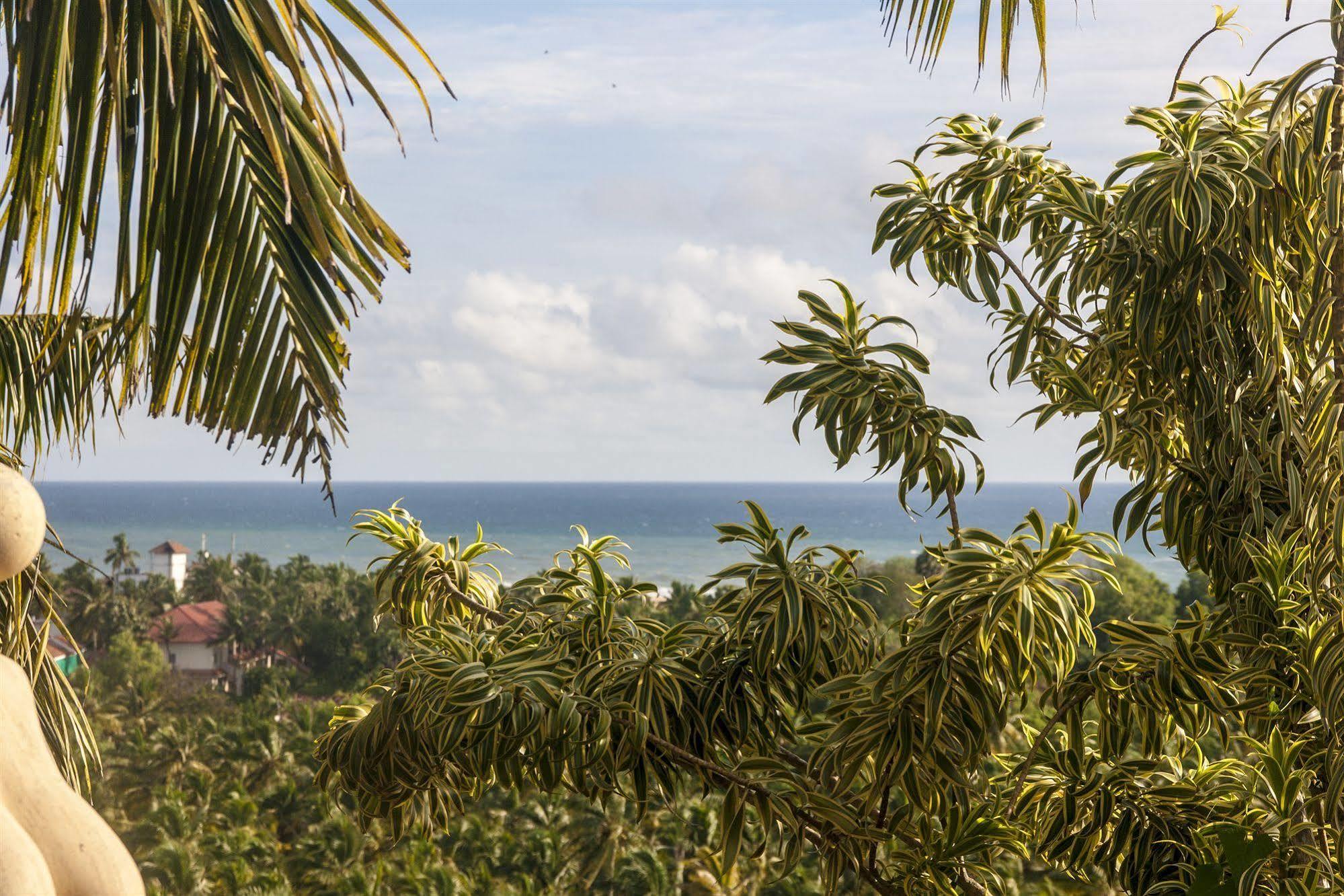 Over The Hill Poovar Экстерьер фото